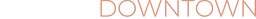 Downtown Nano